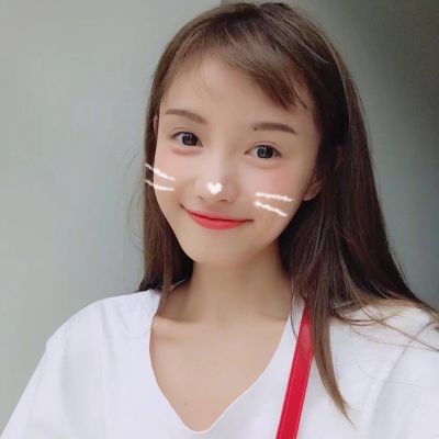 王中王美女一肖圖，揭秘背后的故事與SEO優(yōu)化策略，王中王美女一肖圖背后的故事與SEO優(yōu)化策略揭秘