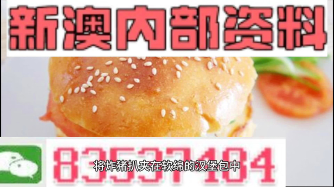 2025新澳精準正版資料全面解析，2025新澳正版資料全面解析與解讀