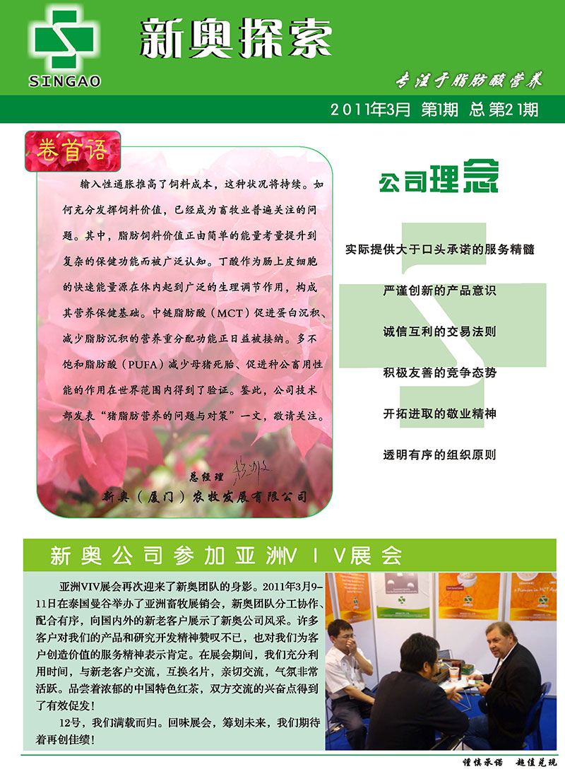 2025新澳精準正版資料，全面解析與獲取指南，2025新澳正版資料全面解析與獲取指南