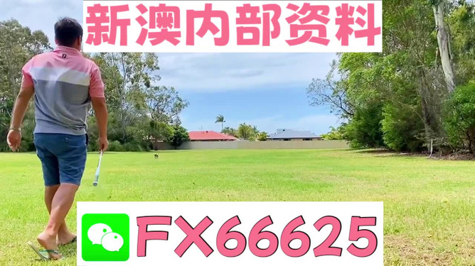 王中王一肖中碼，深度解析與SEO優(yōu)化策略，王中王一肖中碼深度解析與SEO策略?xún)?yōu)化探討