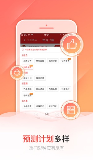 王中王精選一碼一肖，揭秘背后的秘密與策略