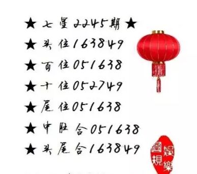 王中王一肖尾數(shù)資料，深度解析與SEO優(yōu)化文章，王中王一肖尾數(shù)資料深度解析與SEO優(yōu)化策略探討