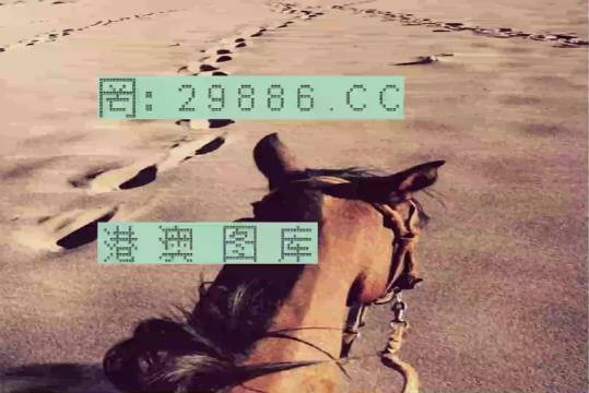 香港特馬資料王中王下載，深度探索與指南，香港特馬資料王中王，深度探索與下載指南