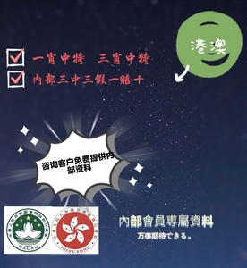 新澳王中王，揭秘一肖一特一中背后的奧秘，揭秘新澳王中王一肖一特一中背后的秘密傳奇