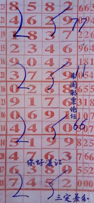 三字爆特肖，揭秘生肖魅力與運勢之道，揭秘生肖魅力與運勢之道，三字特肖探秘篇