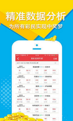 王中王公開肖主一碼，深度解析與SEO優(yōu)化策略，王中王公開肖主一碼解析與SEO優(yōu)化策略深度探討