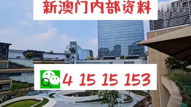 新澳一碼料，深度解析與SEO優(yōu)化策略，新澳一碼料深度解析與SEO優(yōu)化策略指南