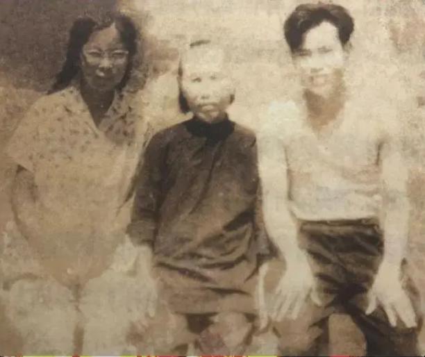 澳門今晚看四不像，探索神秘現(xiàn)象與SEO洞察，澳門神秘現(xiàn)象探索與SEO洞察揭秘之夜