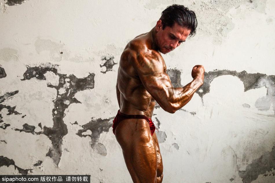 四不像王中王必一肖，揭秘背后的神秘面紗，揭秘四不像王中王必一肖的神秘面紗
