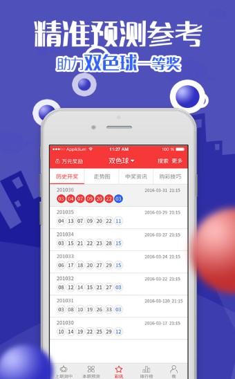 精選王中王三肖一碼，深度解析與探索，王中王三肖一碼深度解析與探索精選