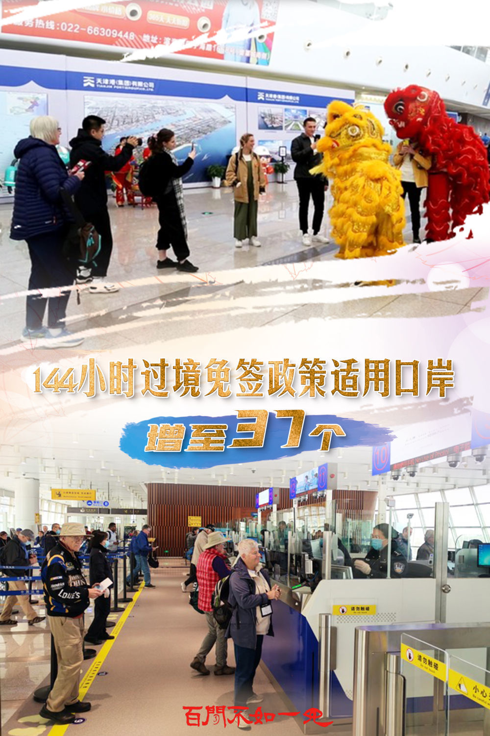 王中王一肖，揭秘碼一特一中的奧秘，揭秘王中王一肖特一中奧秘的真相