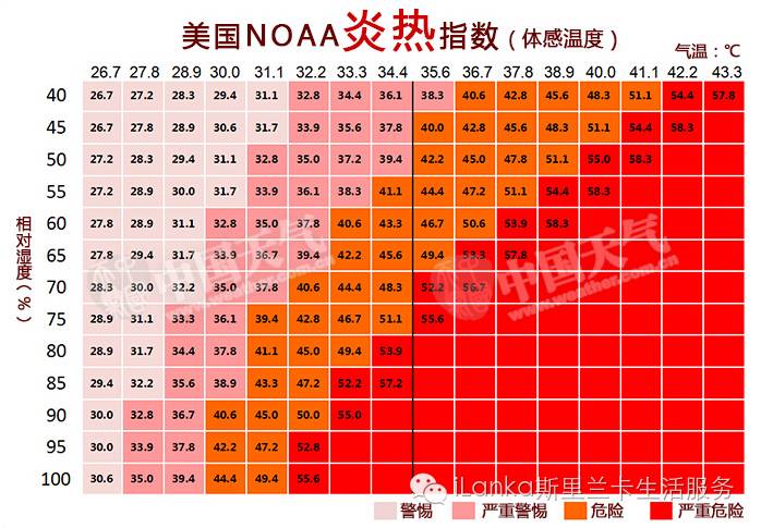 鐵算算盤4887跑狗圖，探索與解析，鐵算算盤4887跑狗圖的探索與解析