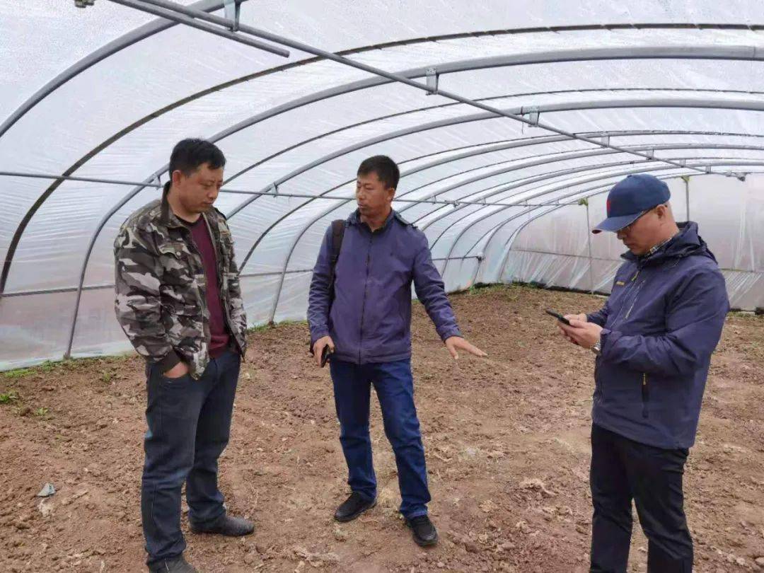 揭秘未來之門，探索澳門新馬賽事的2025新篇章，探索澳門新馬賽事新篇章，未來之門開啟于2025年