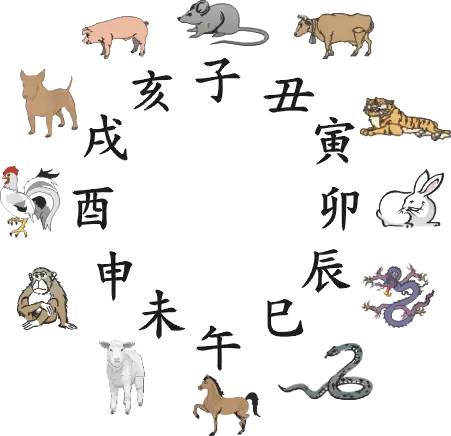 王中王019指一生肖