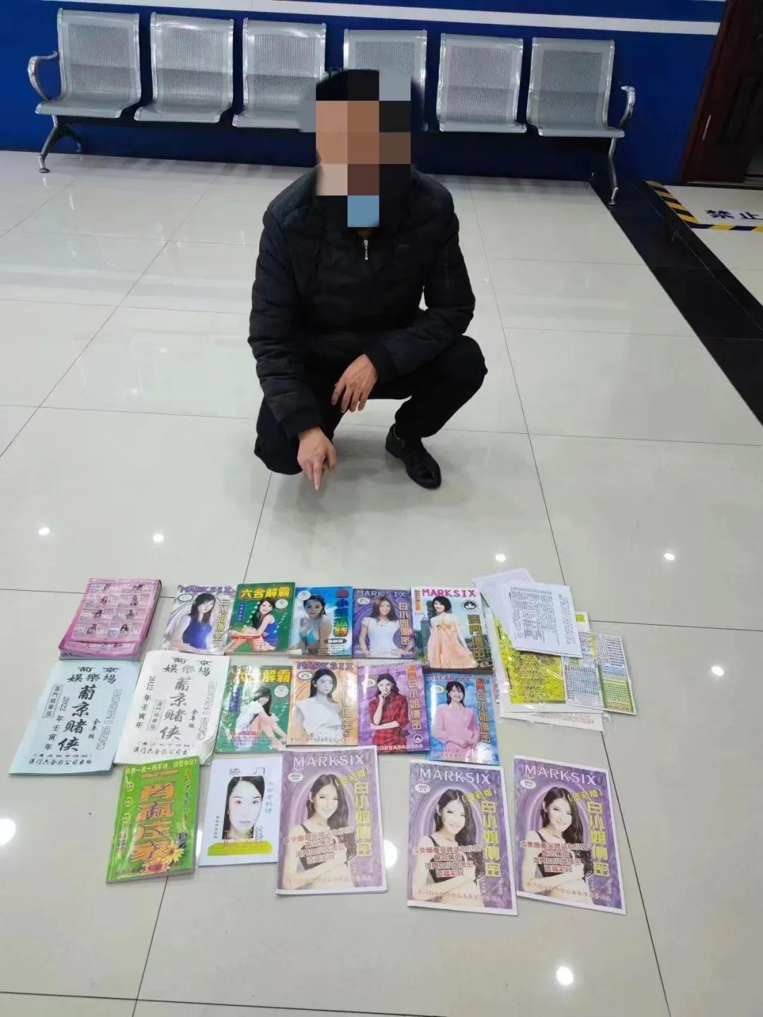 新奧六開彩開獎結(jié)果查詢——快速掌握最新開獎動態(tài)，新奧六開彩最新開獎結(jié)果查詢，輕松掌握開獎動態(tài)