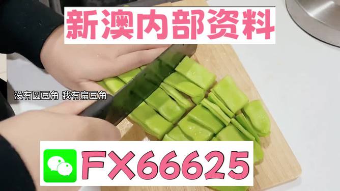 新澳精準(zhǔn)資料免費提供，探索與實踐的指南，新澳精準(zhǔn)資料免費分享，探索與實踐的導(dǎo)航指南
