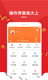 王中王的一肖，深度解析與SEO優(yōu)化，王中王的一肖深度解析與SEO優(yōu)化策略探討