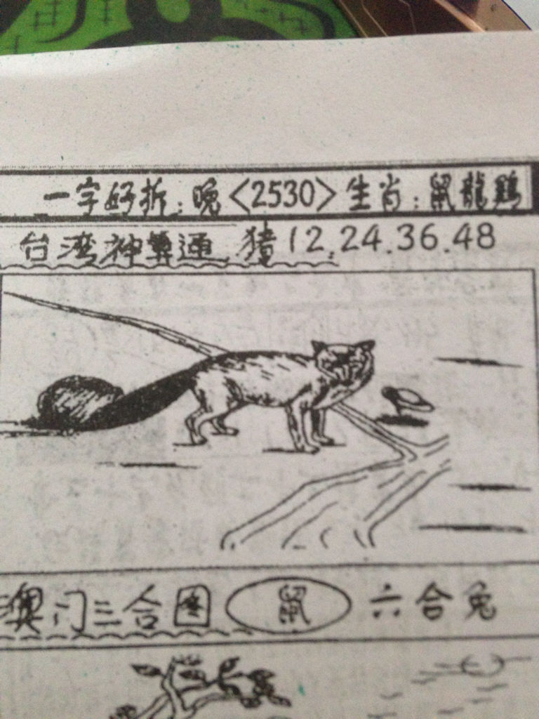 揭秘劉伯溫的生肖之謎，看圖尋找獨特線索，揭秘劉伯溫生肖之謎，獨特線索藏于圖中
