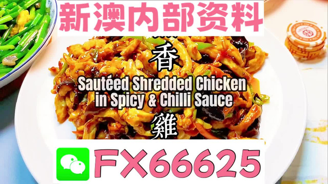 新奧天天精準(zhǔn)資料大全——全方位解讀與SEO優(yōu)化策略，新奧天天精準(zhǔn)資料大全，全方位解讀與SEO優(yōu)化策略指南