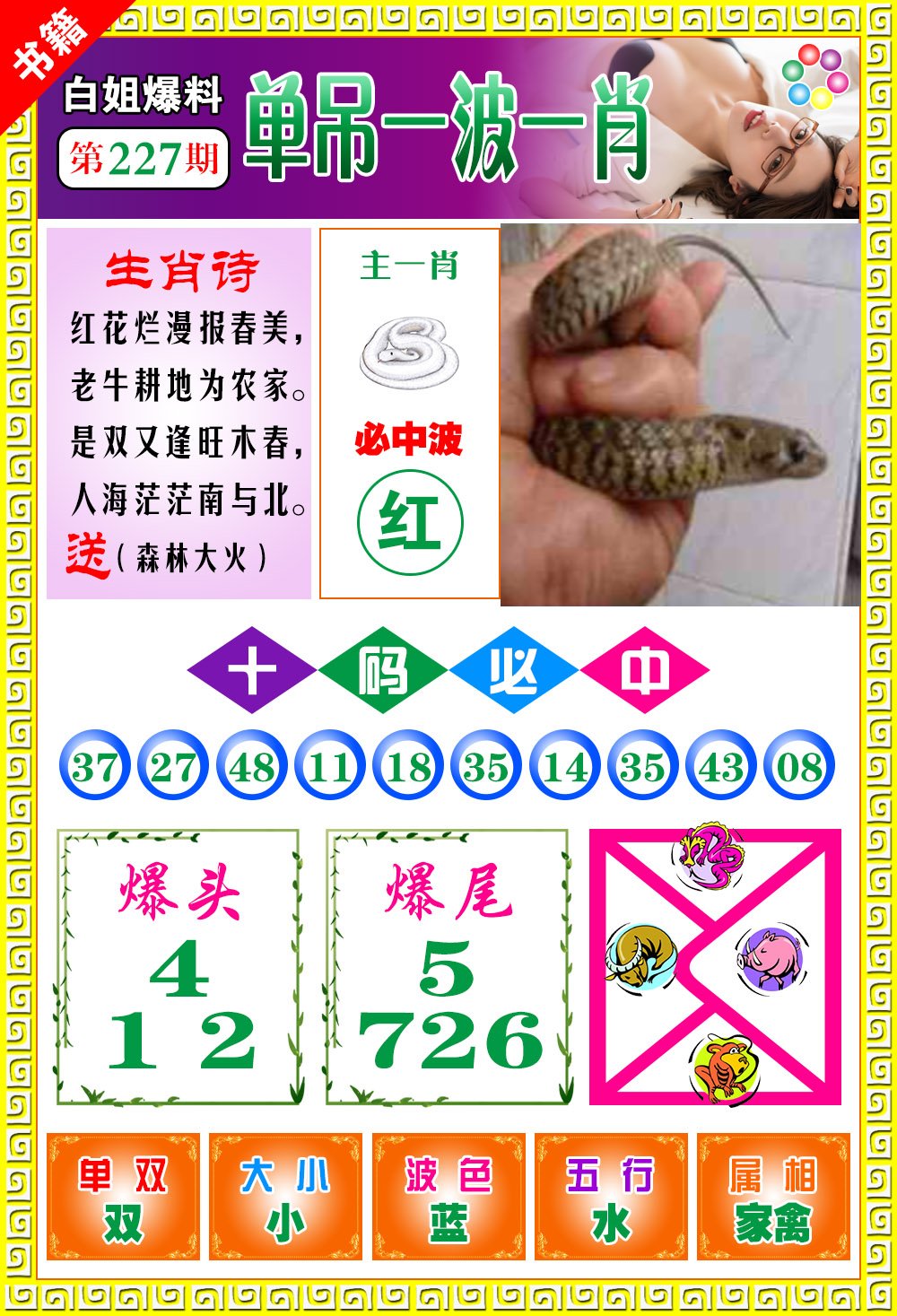王中王免費(fèi)一肖開獎(jiǎng)，揭秘彩票背后的秘密，揭秘彩票背后的秘密，王中王免費(fèi)一肖開獎(jiǎng)探秘