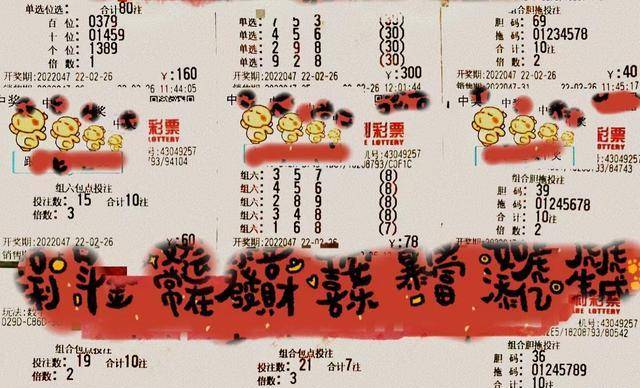 王中王047期指一生肖，深度解讀與SEO優(yōu)化策略，王中王047期生肖解讀與SEO優(yōu)化策略深度探討