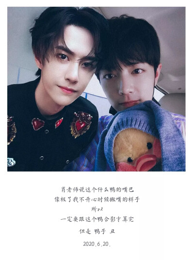 王中王一肖中特肖，探尋背后的故事與奧秘，王中王一肖中特肖，背后的故事與奧秘探尋
