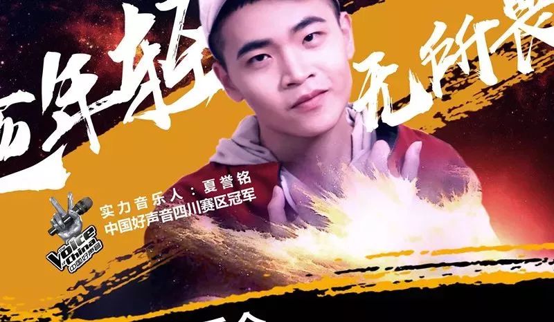 王中王一肖中恃，探尋背后的故事與奧秘，揭秘王中王一肖背后的故事與奧秘