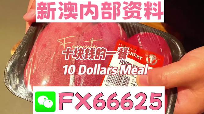 2025新澳精準資料免費大全——一站式獲取最新資源，2025新澳精準資料免費大全，最新資源一站式獲取