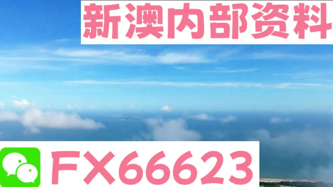 新澳2025今晚最新資料解析與預(yù)測(cè)，新澳2025今晚資料解析與預(yù)測(cè)報(bào)告