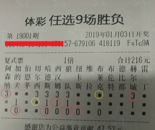 揭秘王中王平特一肖，背后的故事與奧秘，揭秘王中王平特一肖背后的故事與奧秘探秘