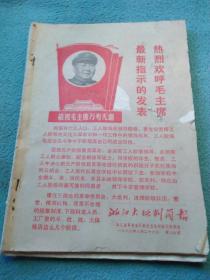揭秘第126期王中王平特一肖，背后的故事與秘密，揭秘第126期王中王平特一肖背后的故事與神秘面紗