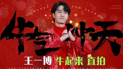 王中王一肖中特揭秘，免費公開的奧秘與特點，王中王一肖中特獨家揭秘，奧秘與特點全解析（免費公開）