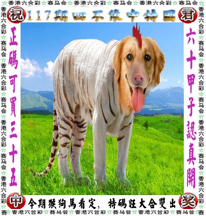 王中王四不像，猜一肖，神秘謎題背后的SEO智慧，王中王四不像，神秘謎題背后的SEO策略智慧