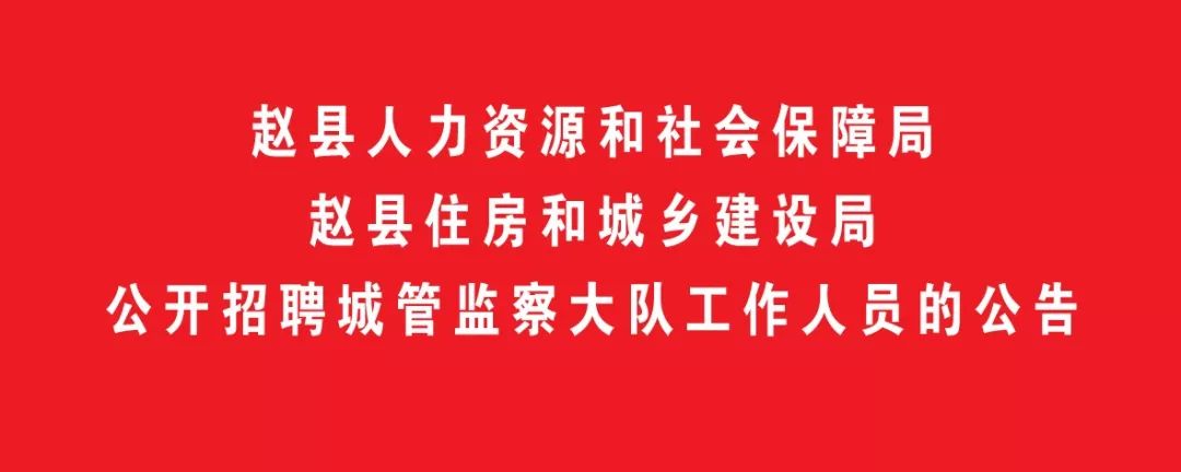 趙縣數據和政務服務局最新招聘信息詳解，趙縣數據和政務服務局最新招聘信息全面解析