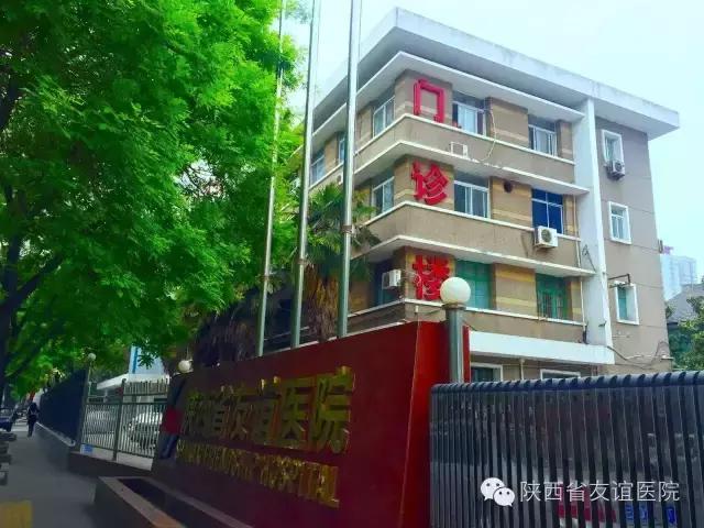 南郊區(qū)文化廣電體育和旅游局最新招聘信息概覽，南郊區(qū)文化廣電體育和旅游局最新招聘啟事概覽