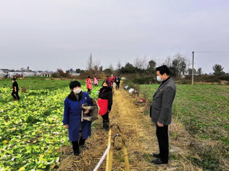 彭州市農(nóng)業(yè)農(nóng)村局最新新聞，彭州市農(nóng)業(yè)農(nóng)村局最新動(dòng)態(tài)報(bào)道