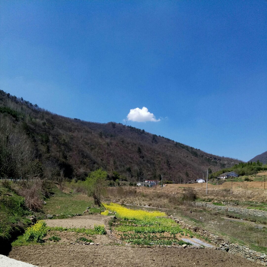 田灣鎮(zhèn)最新天氣預(yù)報及詳細(xì)氣象分析，田灣鎮(zhèn)天氣預(yù)報及氣象分析詳解