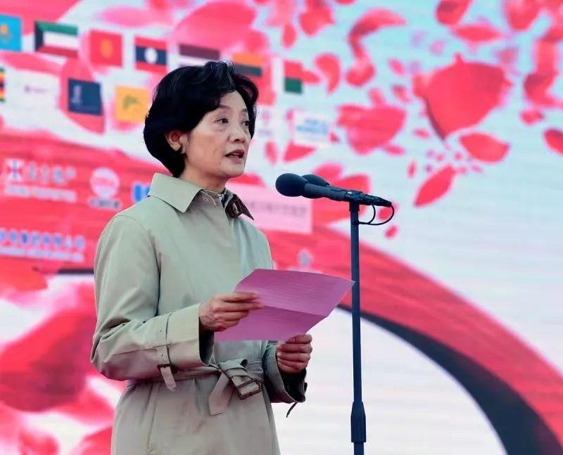 麻栗坡縣圖書館最新領(lǐng)導(dǎo)團隊介紹及其影響力分析，麻栗坡縣圖書館領(lǐng)導(dǎo)團隊介紹及影響力分析概覽