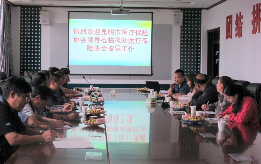 武定縣醫(yī)療保障局最新領(lǐng)導(dǎo)團(tuán)隊(duì)介紹，武定縣醫(yī)療保障局領(lǐng)導(dǎo)團(tuán)隊(duì)介紹