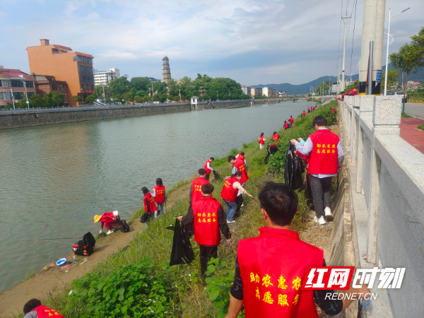 藍(lán)山縣農(nóng)業(yè)農(nóng)村局最新新聞，藍(lán)山縣農(nóng)業(yè)農(nóng)村局最新動(dòng)態(tài)報(bào)道