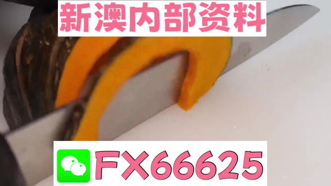 新澳門精準(zhǔn)資料大全與管家婆料，探索與解析，澳門精準(zhǔn)資料大全與管家婆料，深度探索與解析