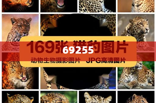 新門內(nèi)部資料免費提供大全（最新章節(jié)）SEO文章，新門內(nèi)部資料大全最新章節(jié)SEO文章免費分享