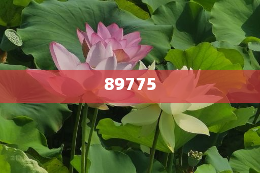 關(guān)于新奧歷史開(kāi)獎(jiǎng)記錄的最新消息，2025年開(kāi)獎(jiǎng)記錄今日公布了嗎？，新奧歷史開(kāi)獎(jiǎng)記錄最新消息，2025年開(kāi)獎(jiǎng)記錄今日公布揭秘！