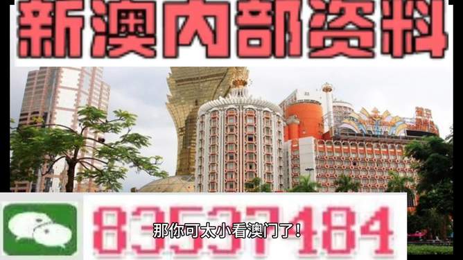 新澳新澳門正版資料，探索與解析，新澳新澳門正版資料深度解析與探索