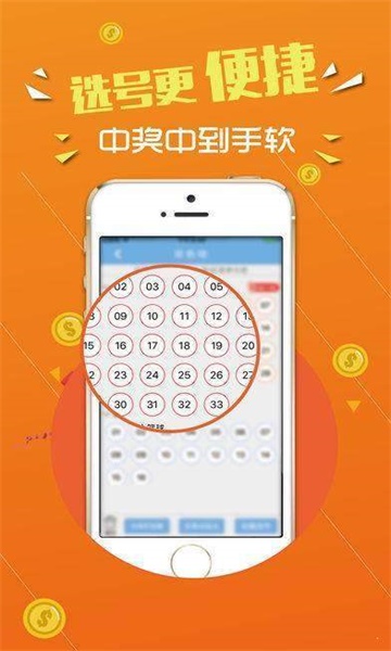 王中王心水平特一肖圖，深度解析與SEO優(yōu)化策略，王中王心水平特一肖圖深度解析與SEO優(yōu)化策略探討