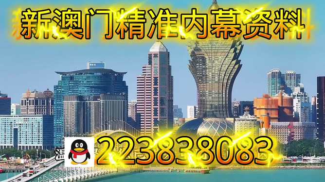 新澳內(nèi)部期期精準(zhǔn)，深度解析與SEO優(yōu)化策略，新澳內(nèi)部期期精準(zhǔn)深度解析與SEO優(yōu)化策略探討