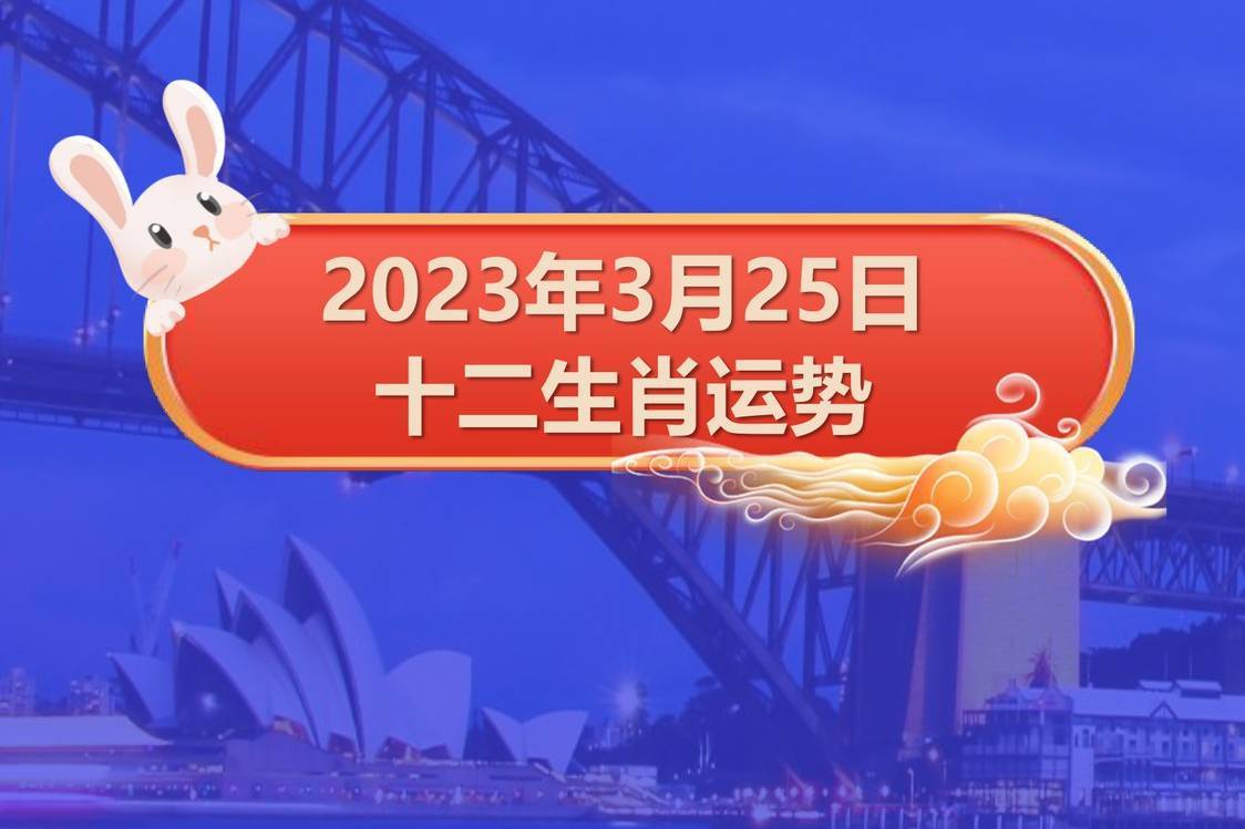 揭秘二肖二碼，深度解析背后的秘密，揭秘二肖二碼背后的深層秘密
