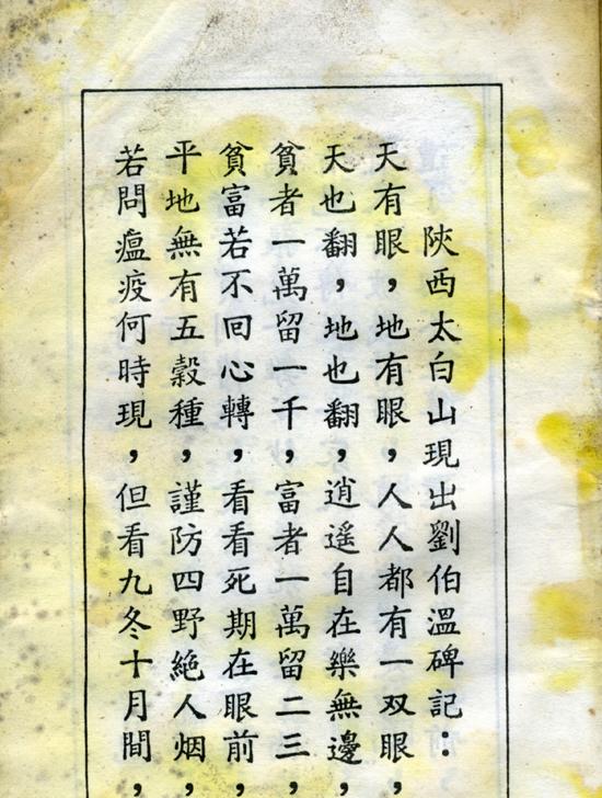 揭秘劉伯溫正版四不像的魅力，生肖運勢一網(wǎng)打盡，劉伯溫正版四不像揭秘與生肖運勢大全