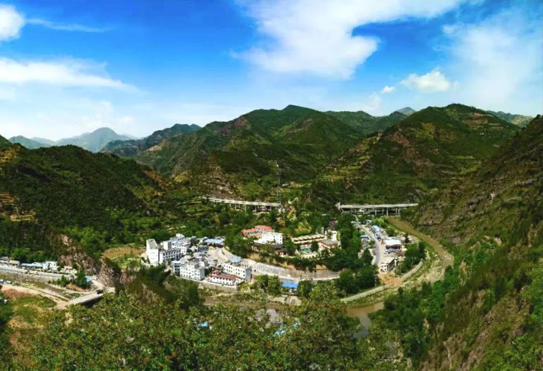 揭秘2020二肖一碼，全面解析與SEO優(yōu)化策略，揭秘2020二肖一碼，全面解析及SEO優(yōu)化策略實戰(zhàn)指南