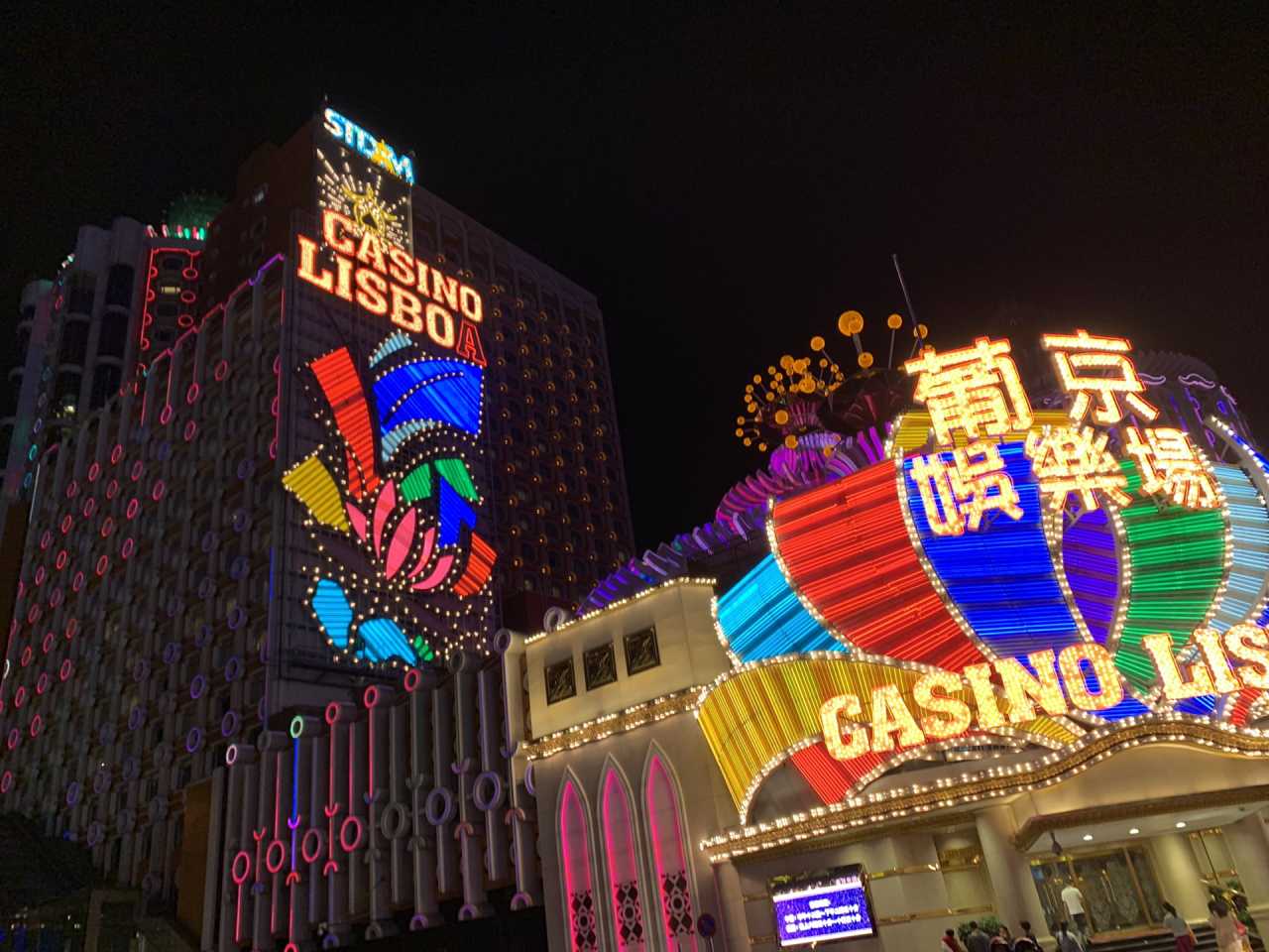 葡京王中王，一肖中特——揭秘彩票背后的秘密與策略，揭秘彩票背后的秘密與策略，葡京王中王一肖中特之奧秘解析